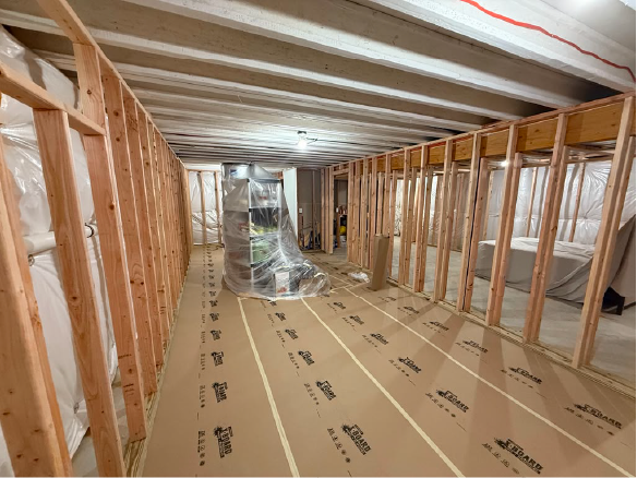 Basement Reno